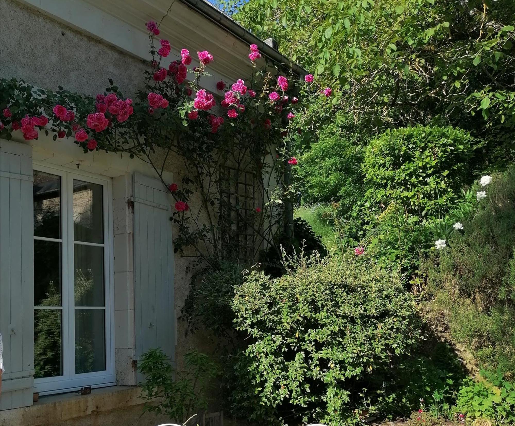 Bed and Breakfast Le Moulin Du Mesnil Saint-Georges-sur-Cher Zewnętrze zdjęcie