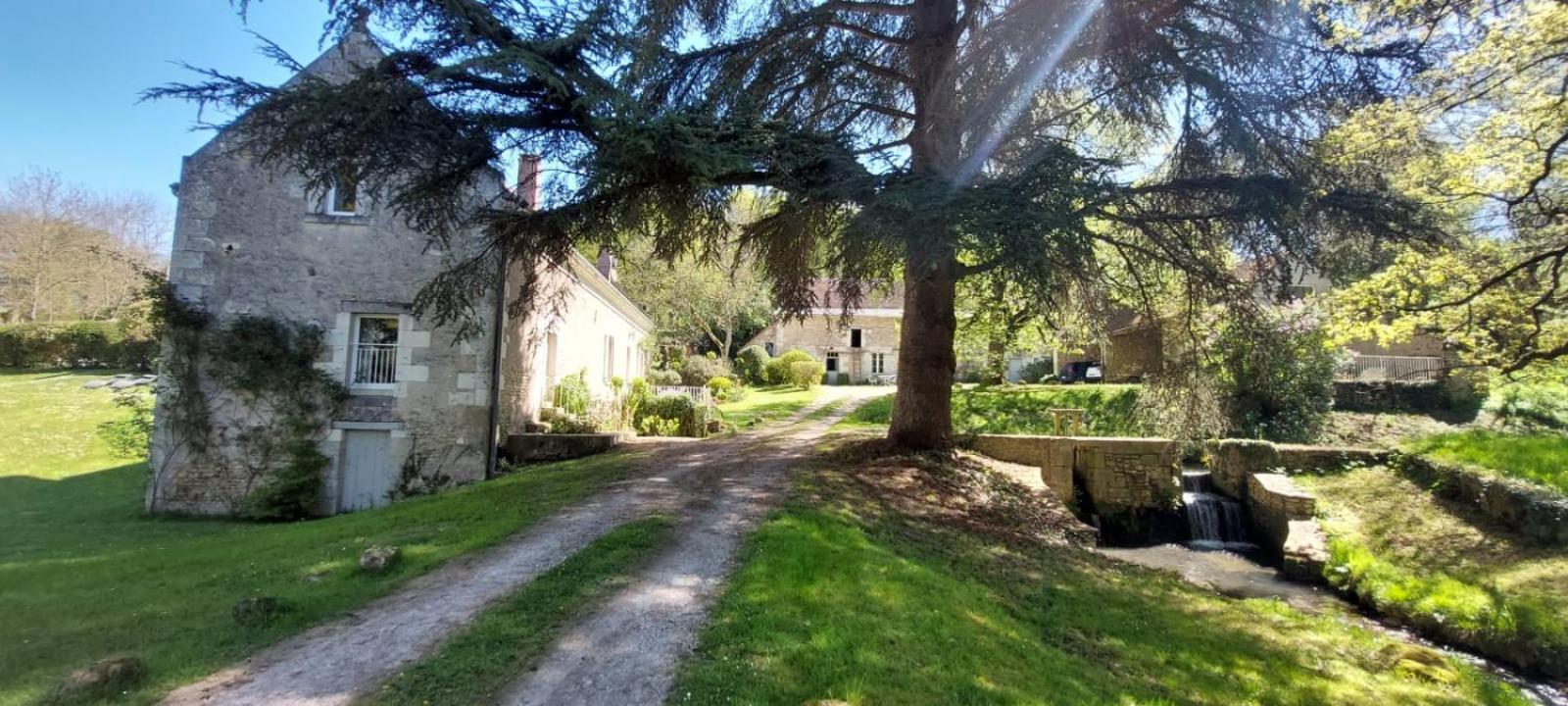 Bed and Breakfast Le Moulin Du Mesnil Saint-Georges-sur-Cher Zewnętrze zdjęcie